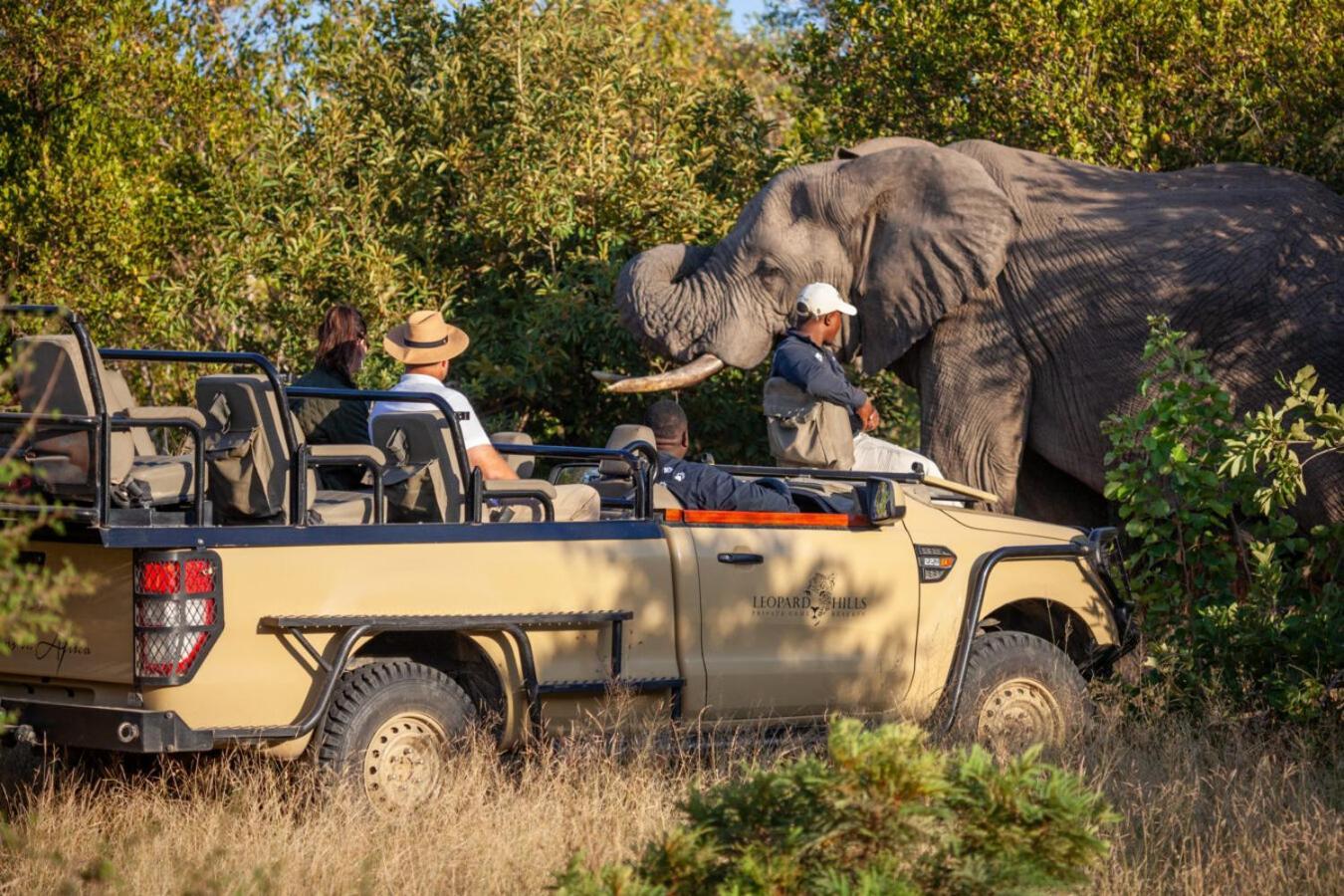 Leopard Hills Private Game Reserve Sabi-Sand-Reservat Exterior foto
