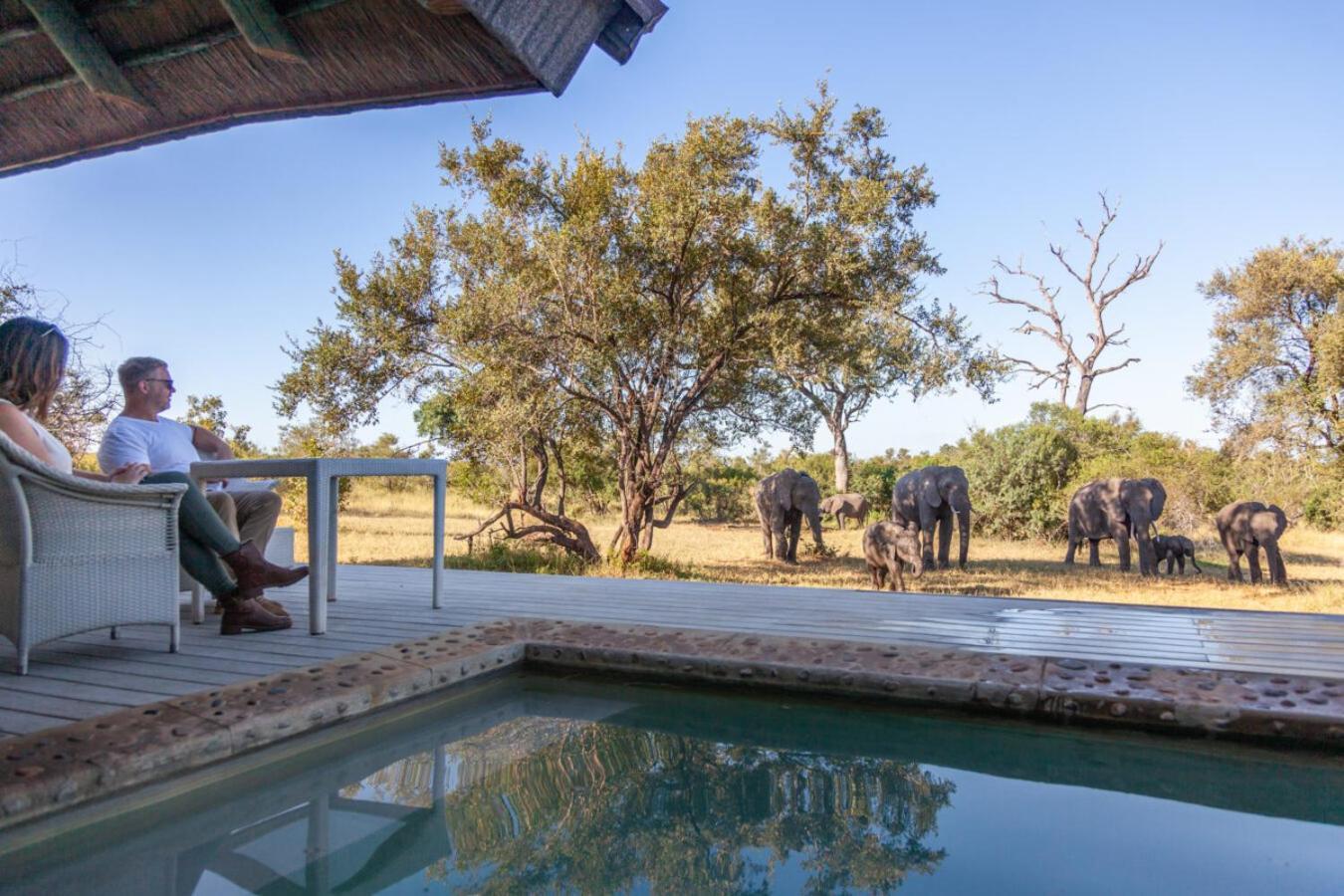 Leopard Hills Private Game Reserve Sabi-Sand-Reservat Exterior foto