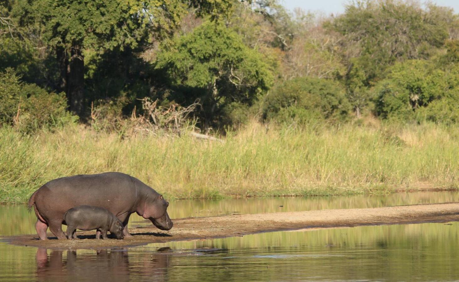 Leopard Hills Private Game Reserve Sabi-Sand-Reservat Exterior foto