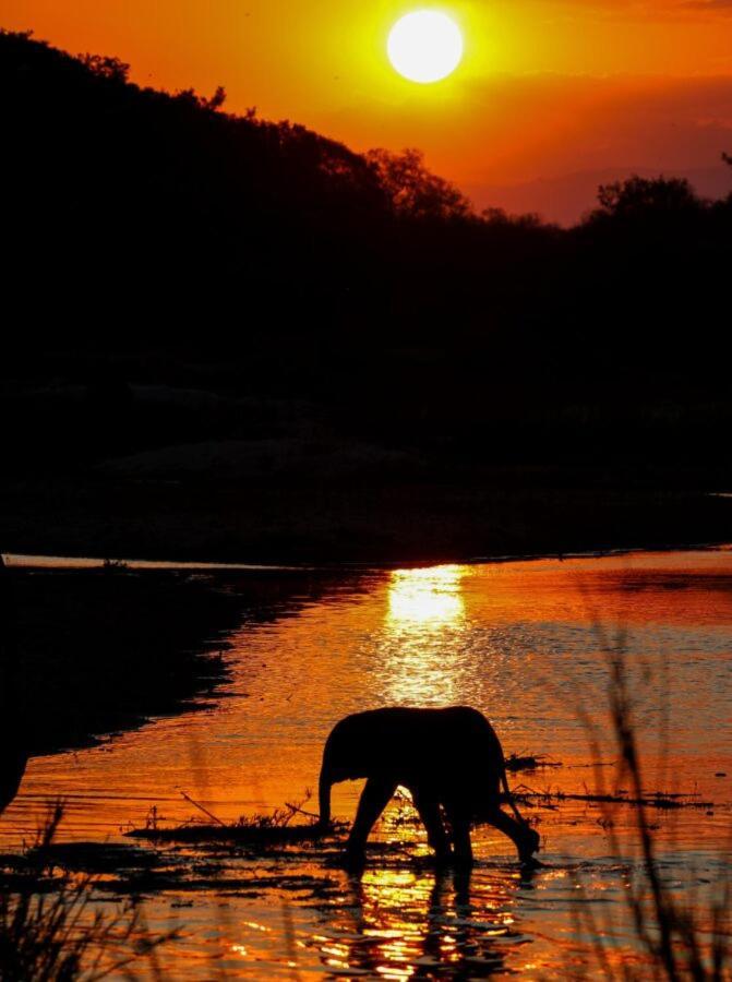 Leopard Hills Private Game Reserve Sabi-Sand-Reservat Exterior foto